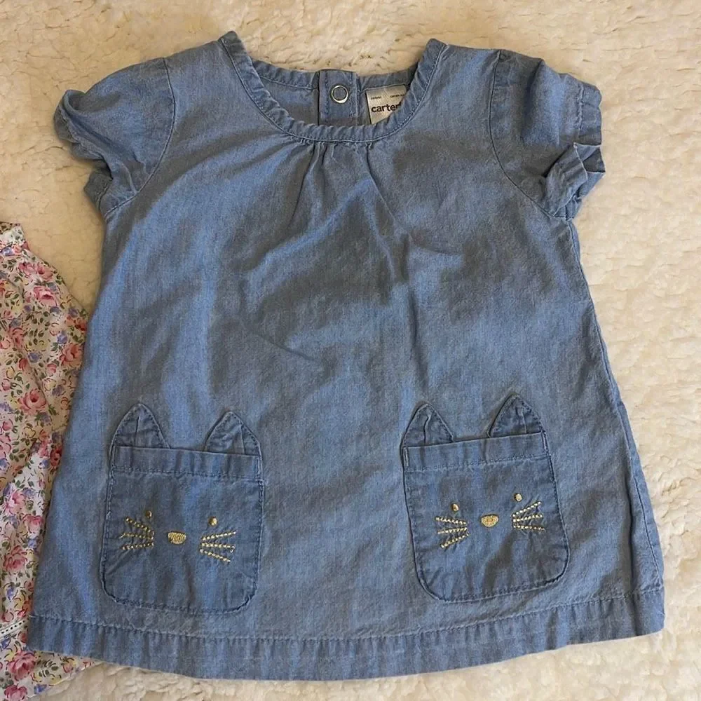 Carters‎ Infant Girls Bundle. 6months. 2 Tops/1 pant.